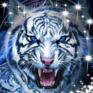 Meet your Posher, Charles